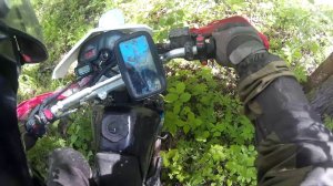 12 июня Ляды