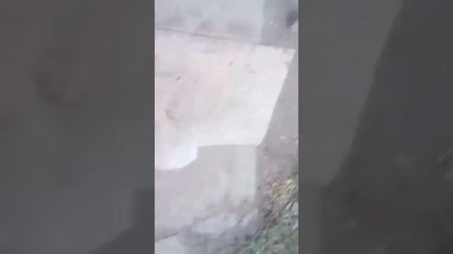 Стекло от Диззи не разбивается смотреть онлайн