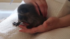 VLOG Что мы купили. Реакция Ларисы бесценна.