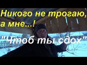 Никого не трогаю, а тут хейтеры желают мне смерти. Будни блогера в Провинции. Любимый Василёк рулит