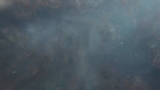 и такое "дно" бывает ? Геленджик ,Голубая Бухта . Поиск часов Seiko смотреть онлайн