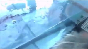 Идем в магазин за живой рыбой