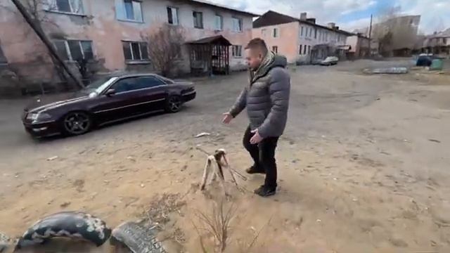 Читинские Детские площадки. Дети играют костями от собак и кошек! смотреть онлайн