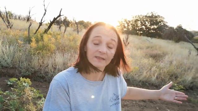 Эпизод #33 Подходить или быть на своем месте? смотреть онлайн