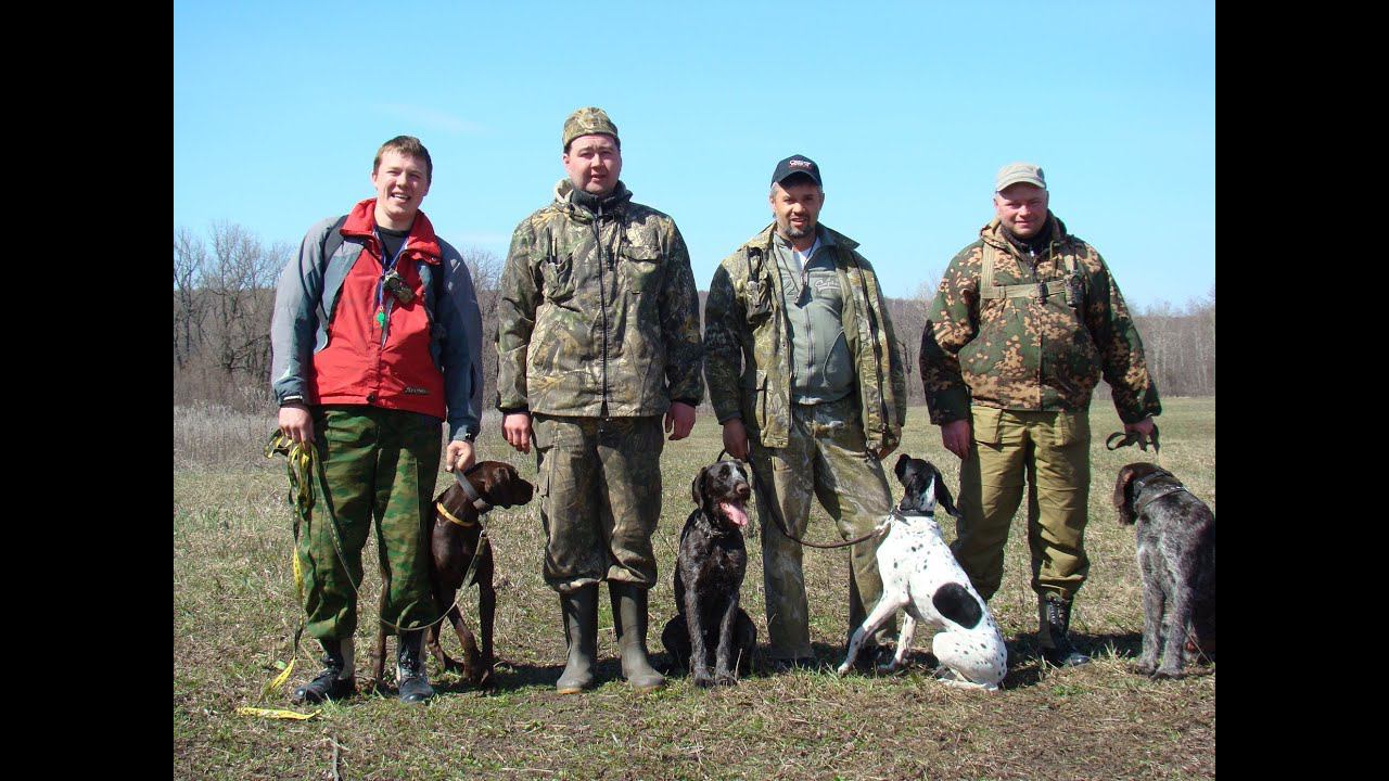 Отзывы второго заезда. Азбука натаски (Весна 2014) смотреть онлайн