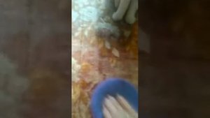 Как вывести пятно на ковре