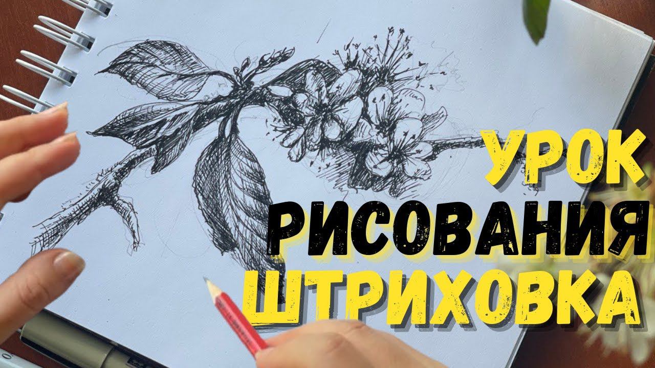 Мастер-класс - Как рисовать цветы, листья и ветки | Основы рисунка за 30 минут ✍️| Real-time Lesson