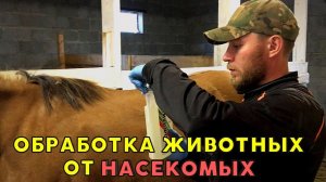 ПОЧЕМУ НАШИХ ЖИВОТНЫХ БОЛЬШЕ НЕ КУСАЮТ НАСЕКОМЫЕ