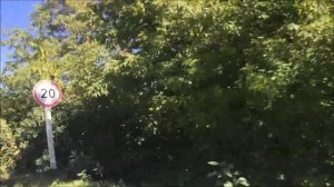 Берёзовка - 2015.