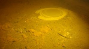 подводные родники озера Череменецкого. underwater springs lake Cheremeneckoe.