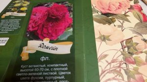 #garden #rose #сад #розы / Читаем информацию о розе на коробке с саженцами.Что значит Ч.Г.,ФЛ.,ПЛ.?