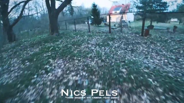 ГДЕ-ТО Я ТАКОЕ ВИДЕЛ... ПАША ПЭЛ смотреть онлайн