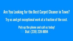 Looking for Carpet Cleaning Services in Estero, FL?