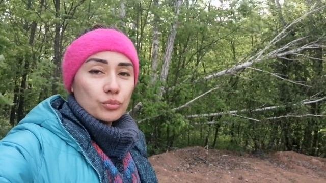 ПРОВЕЛИ ТРУБЫ В ДОМ//ЛЕТНЮЮ ВОДУ//УПАЛА БЕРЁЗА.#дача #снт #дачники #жизньназемле
