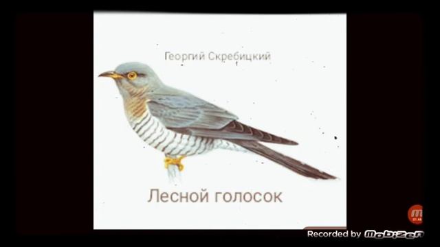 ЛЕСНОЙ ГОЛОСОК ? рассказ ? аудио ? автор Георгий Скребицкий ?