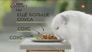 Анонсы и рекламный блок (Звезда 20.04.2021) (1)