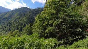 Абхазия озеро Рица