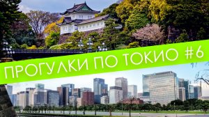 Знаменитый императорский парк | Скоростные поезда и тихие уголки мегаполиса  |Прогулки по Токио #6