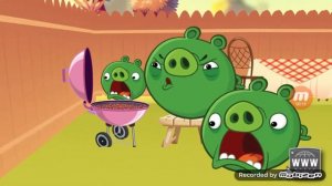 los comerciales mas turbios de angry birds (oh dios que !#$* son estas cosas?)