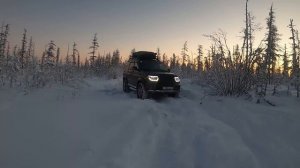 Путь на север. Часть 2 / ВОЗВРАЩЕНИЕ С ТУНДРЫ