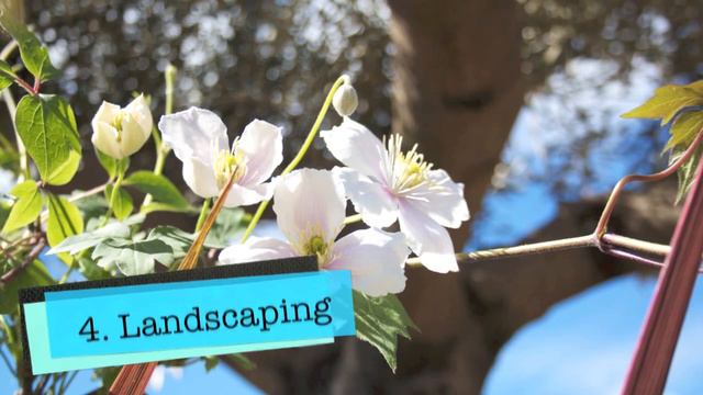 Garden Centre Cork Ireland - Summer 2013 смотреть онлайн