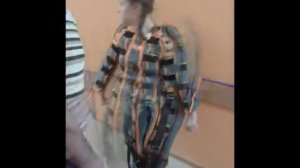 Девочка ДЦП занимается в реабилитационном центре. Занятия в ходунках Активал и костюме Фаэтон