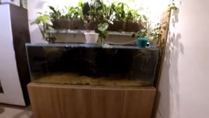 Аквариум на 1000 литров своими руками