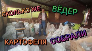 Подсчет картофеля . День рождение Юлии.