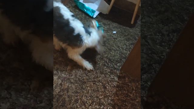 подарки 1 смотреть онлайн