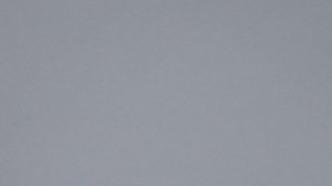 Серпастые голуби 2022г Тренировка