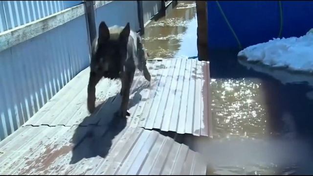 ЧТО ТАКОЕ НАВОДНЕНИЕ