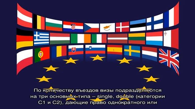 Виды шенгенских виз