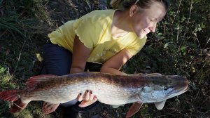 Трофейные щуки жены. The Best Of...