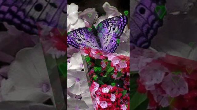 🌺С добрым🌺утром!🌺