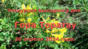 Экскурсия выходного дня. Гора Торатау, Башкортостан. 30 апреля 2024 года.