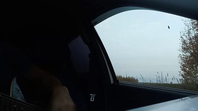 Гр.Любэ.От чего так в России берёзы шумят
