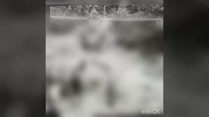 ГСВГ Мотострелковый полк в/ч ПП 58947 город Weimar 247 1982-1984 гг.