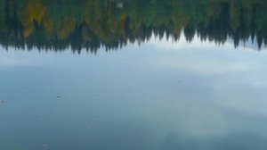 Lake small Ritsa. Mountains of Abkhazia