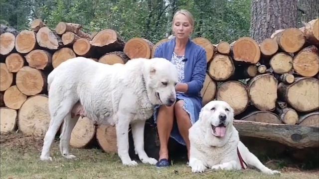 Уже скоро! Готовимся к родам. смотреть онлайн