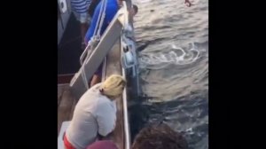 Ловля огромного Тунца 250 килограммового Тунца fishing Thunnus
