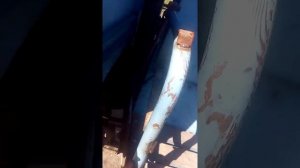 Ремонт ботвоудалителя и усовершенствование конструкции  Картофелеуборочного комбайна АННА  Z-644