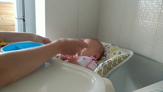 vlog ревизия в кладовке и ПЕРВЫЙ ПРИКОРМ смотреть онлайн