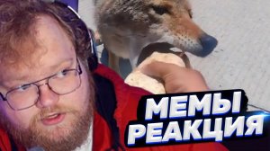 ТОХА T2x2 СМОТРИТ: ПОДБОРКА НЕОБЫЧНЫХ МЕМОВ | UNUSUAL MEMES COMPILATION V275