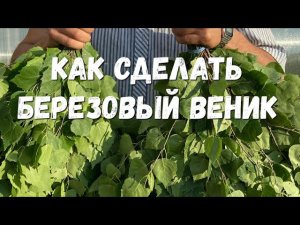 Как сделать березовый веник /Бизнес на вениках/Бизнес без вложений