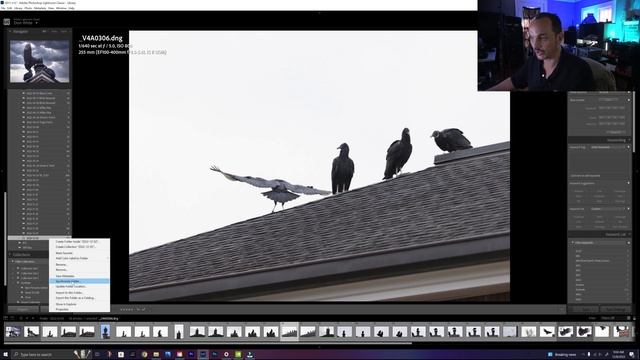 Restore Accidently DELETED LIGHTROOM pictures to your catalog! смотреть онлайн
