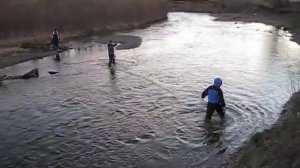 Иркутск .Брэки на Ушаковке