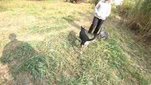 Ерик Ножовский, рыбалка 17.10.2018..mp4