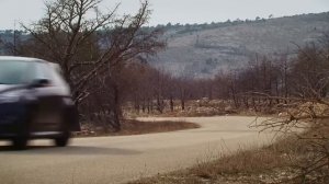 Ford Focus RS500 on the Road