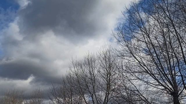 ЛУННЫЕ ФАЗЫ . КАК ЛУНА ВЛИЯЕТ НА ЗДОРОВЬЕ ЧЕЛОВЕКА. что нельзя делать...