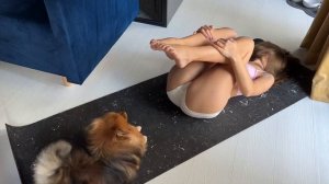 Расслабляющая йога с моей собачкой